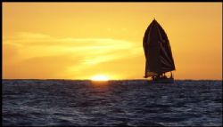 On the way to do a night dive in Waikiki. What could be b... by Glenn Poulain 